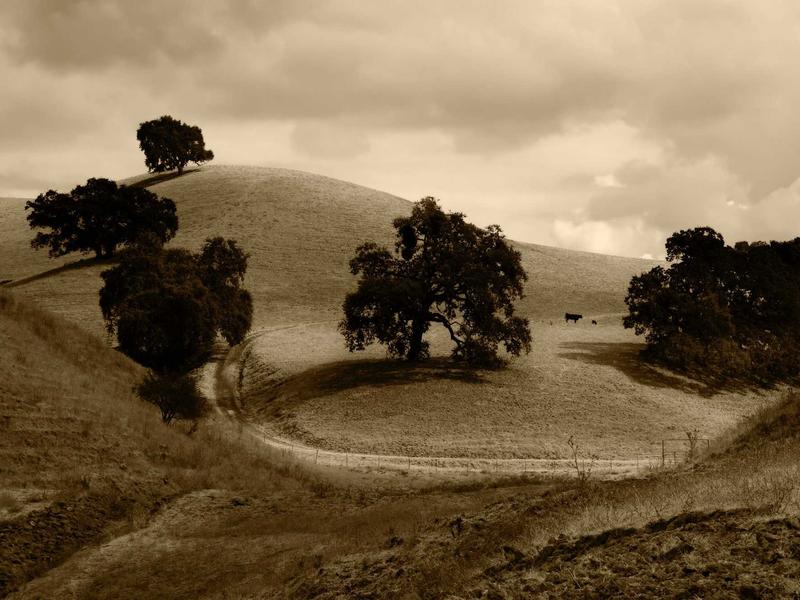 sudoku brain exercise screenshot 5