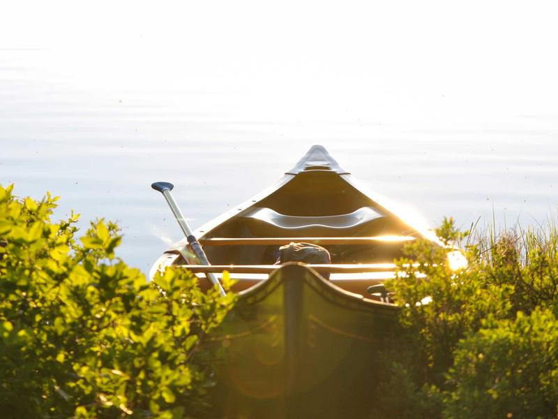 sudoku brain exercise